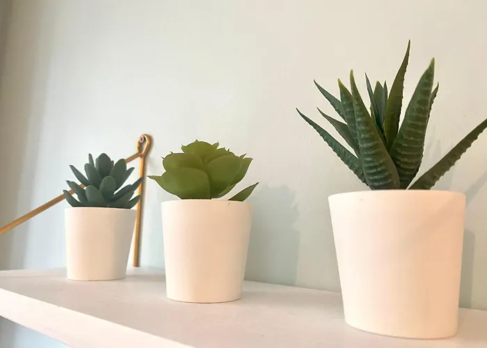 Apartment Le 202, Un Studio Cosy Au Coeur De *